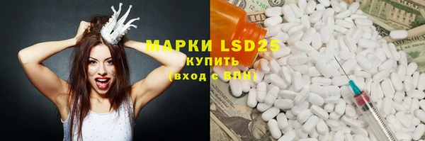 дживик Верхний Тагил