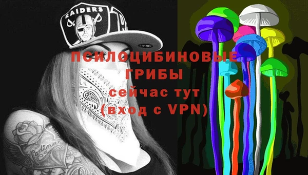 шишки Вяземский