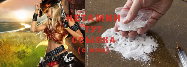 шишки Вяземский