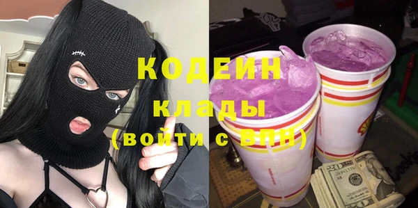 шишки Вяземский