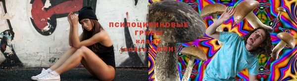 spice Волоколамск