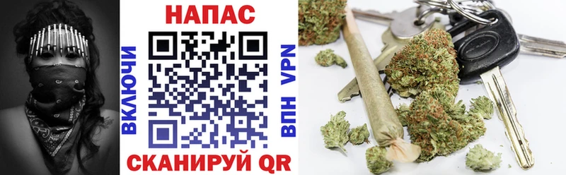 Бошки марихуана THC 21% купить цена Зубцов